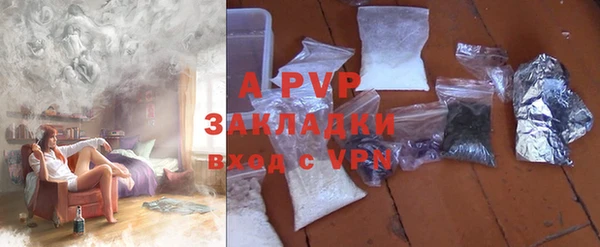 твердый Арсеньев