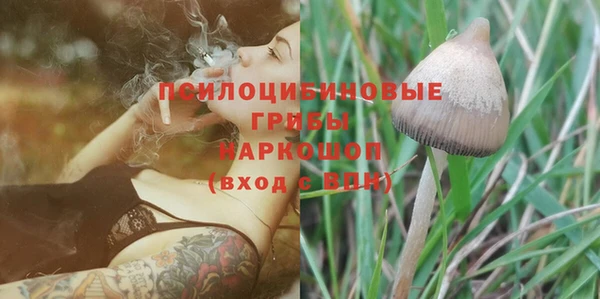 твердый Арсеньев